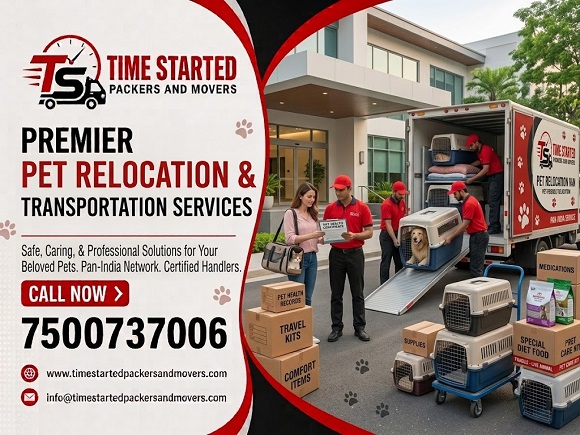 Pet Relocation Support in Delhi